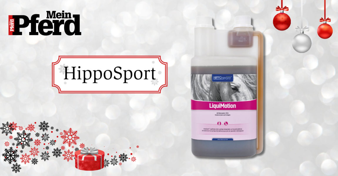 adventskalender_2018_Hipposport 