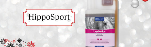 adventskalender_2018_Hipposport 