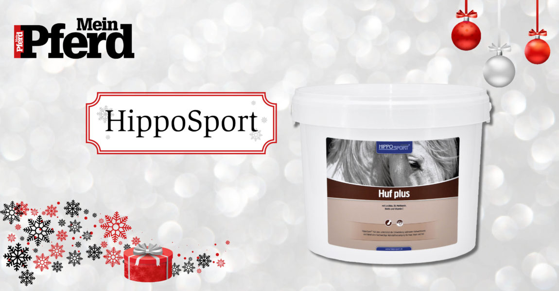 adventskalender_2018_Hipposport 
