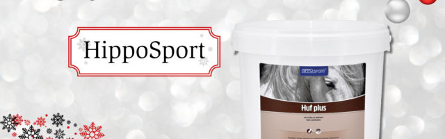 adventskalender_2018_Hipposport 