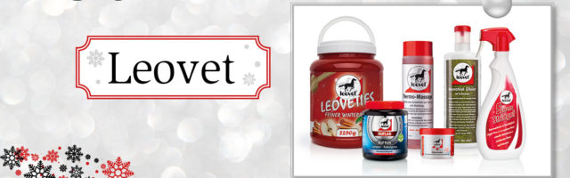 adventskalender_2018_Leovet 