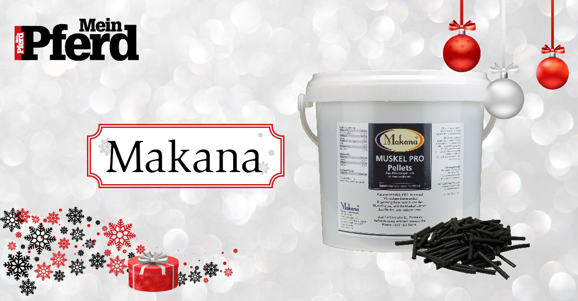 adventskalender_2018_Makana 