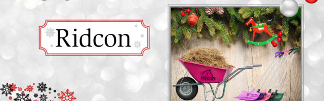 adventskalender_2018_Ridcon 