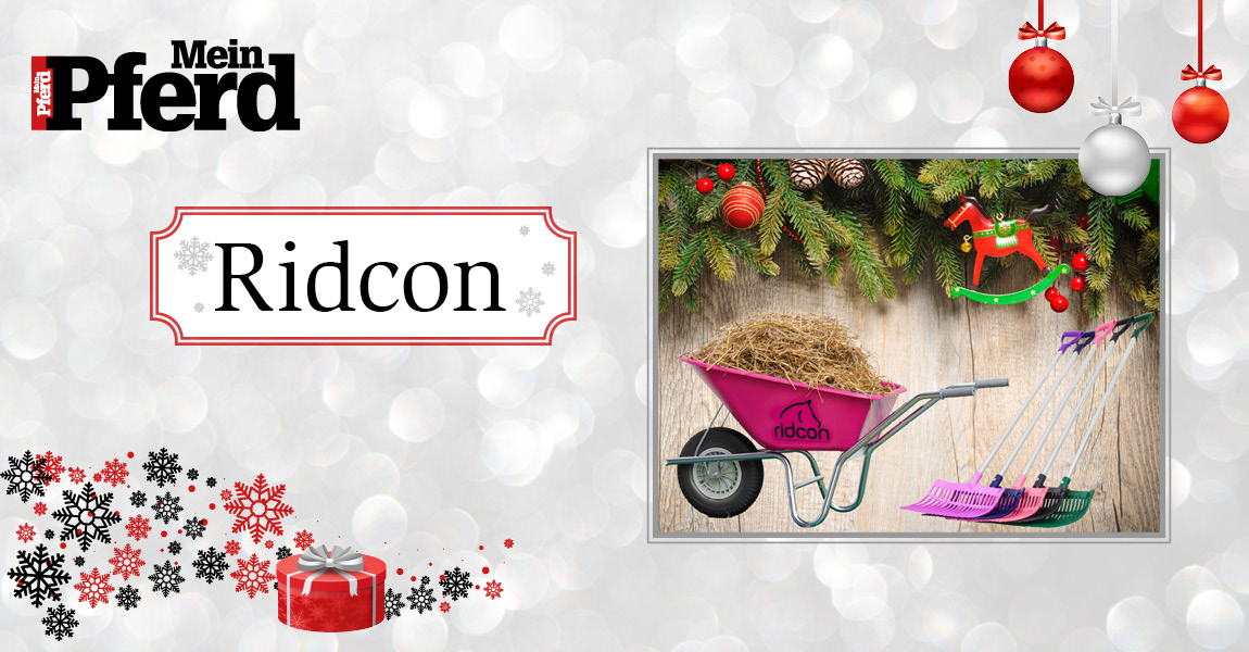 adventskalender_2018_Ridcon 