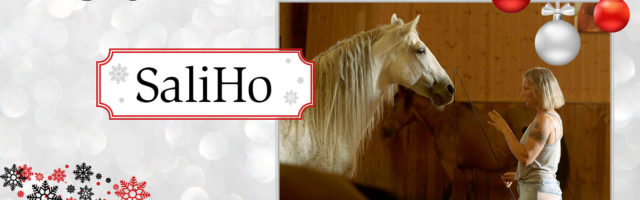 adventskalender_2018_SaliHo 