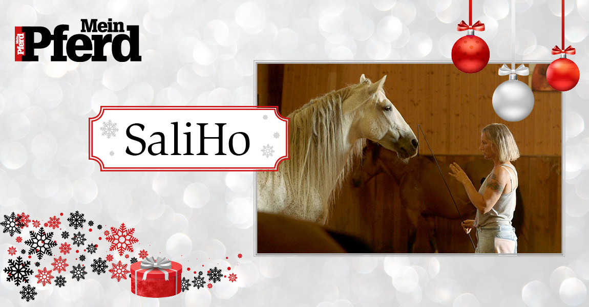 adventskalender_2018_SaliHo 