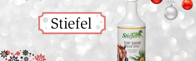 adventskalender_2018_Stiefel 