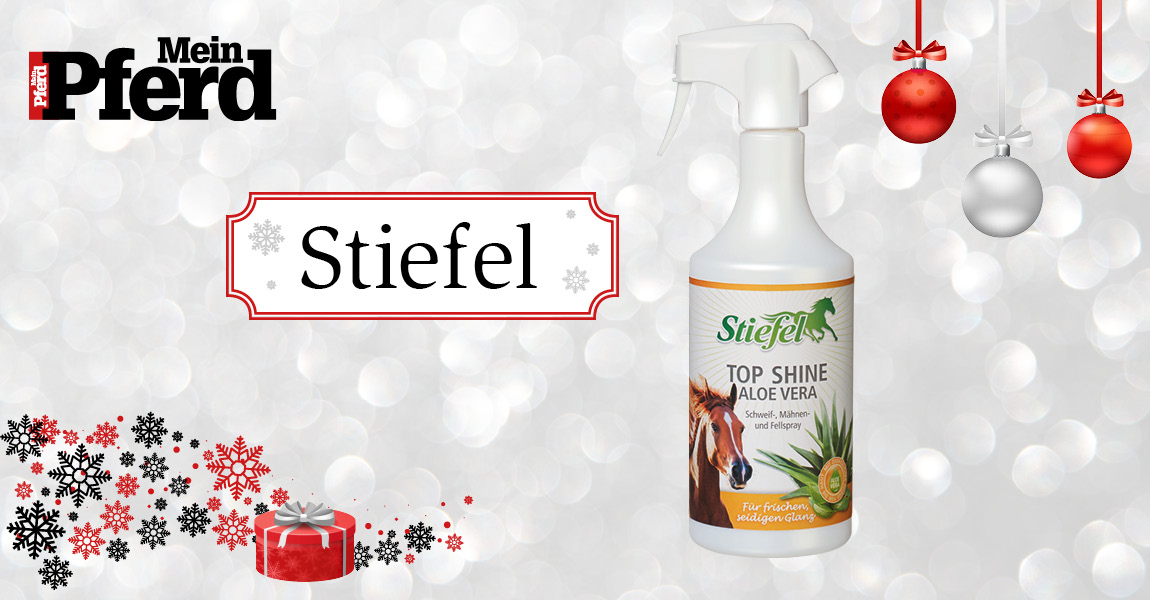 adventskalender_2018_Stiefel 