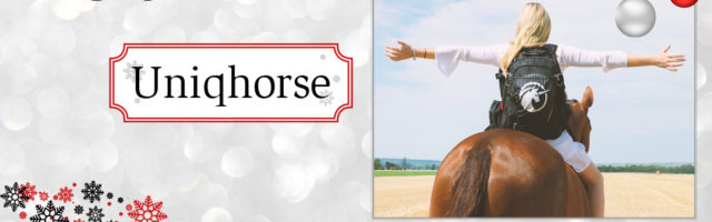 adventskalender_2018_Uniqhorse 