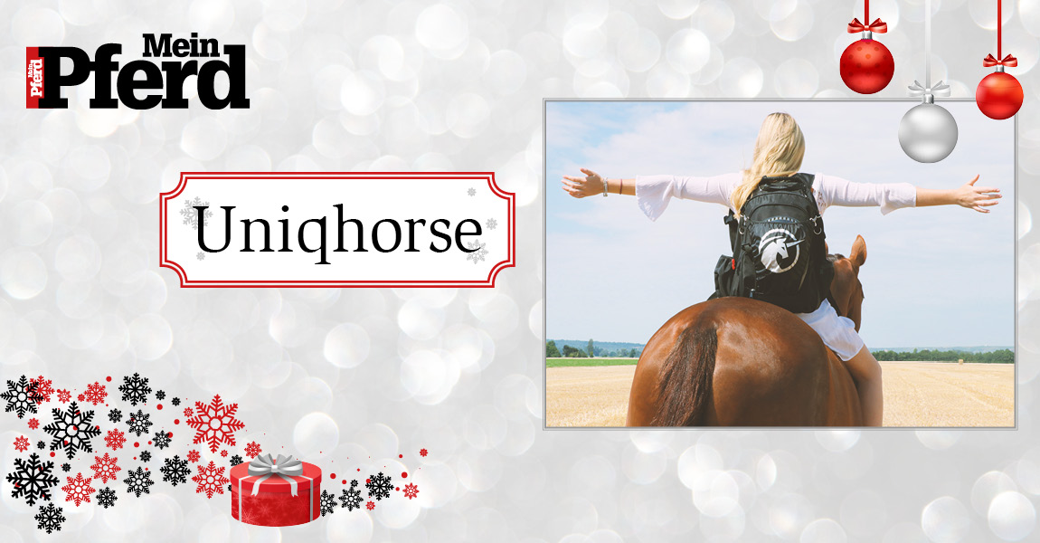 adventskalender_2018_Uniqhorse 
