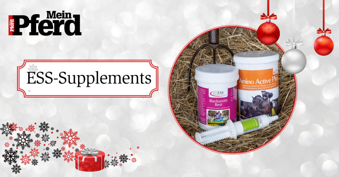 adventskalender_2018_ess-supplement 