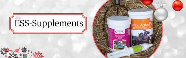 adventskalender_2018_ess-supplement 