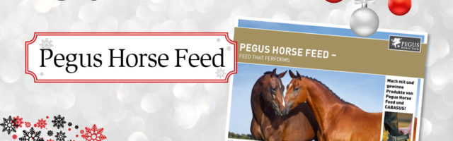 adventskalender_2018_pegus horse feed 