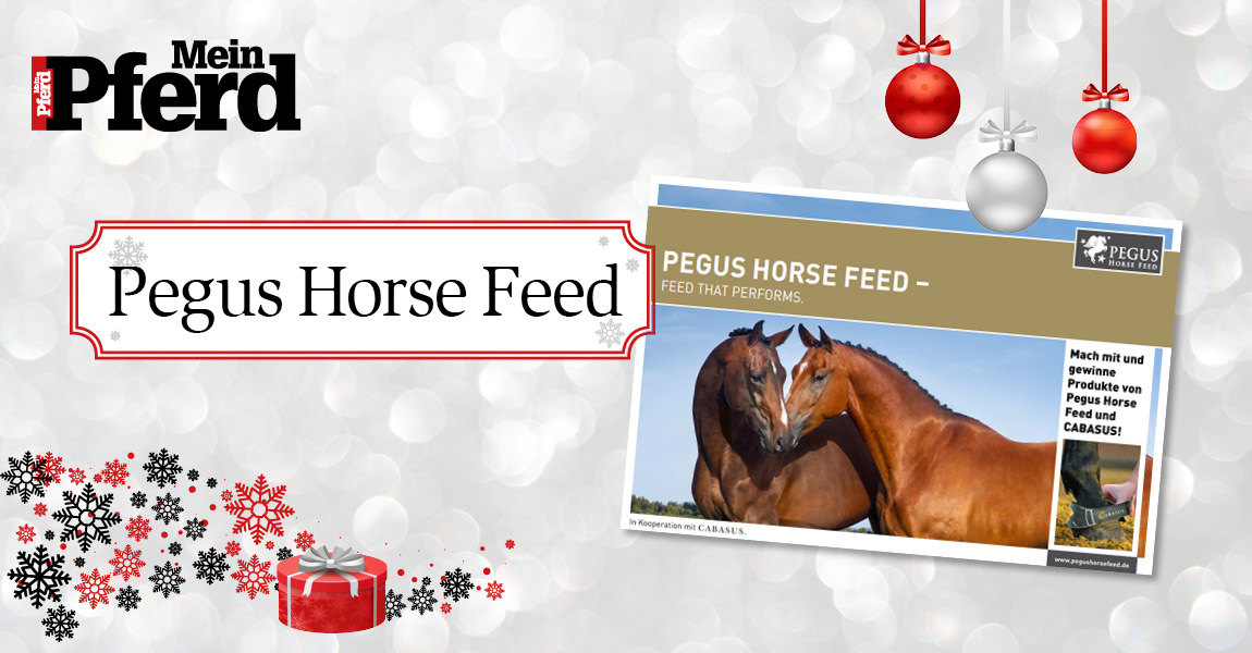 adventskalender_2018_pegus horse feed 
