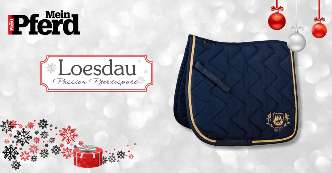 adventskalender_2018_loesdau 