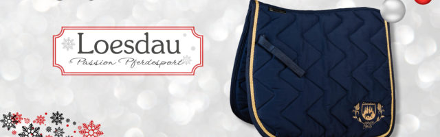 adventskalender_2018_loesdau 