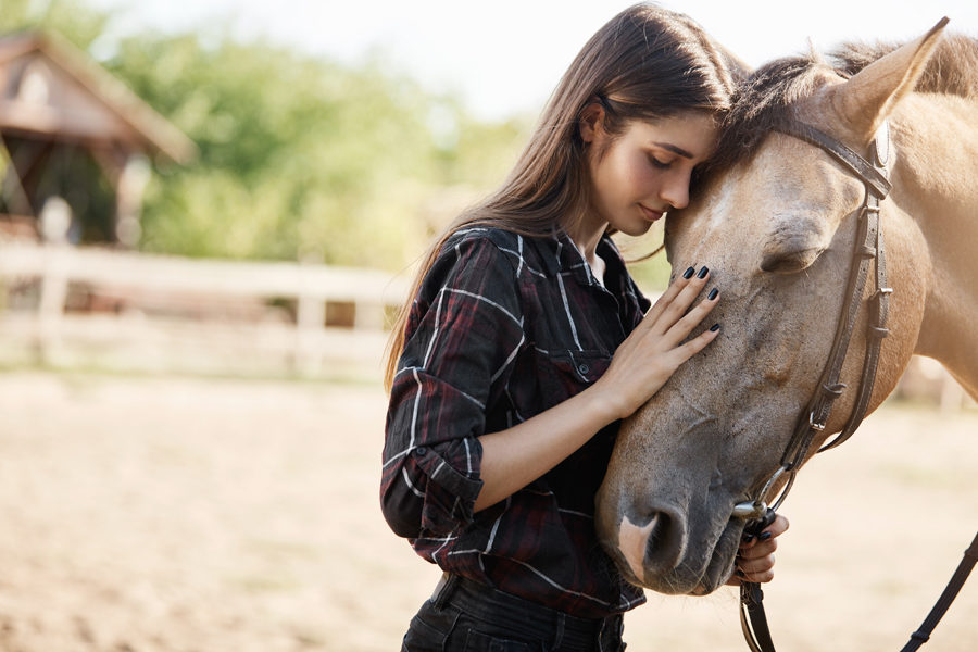 Portait of young female broodmare petting a new horse on a ranch on a sunny summer day. Portait of young female broodmare petting a new horse on a ranch on a sunny summer day. 