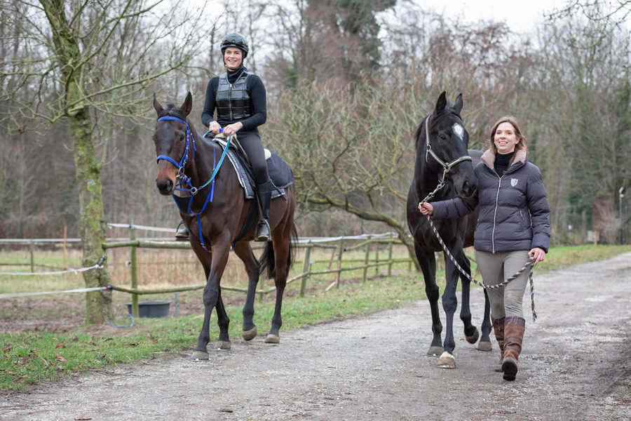 Rennpferdehof Mein Pferd Magazin Reportage auf einem Hof für Rennpferde in Weeze Foto: DANIEL ELKE 