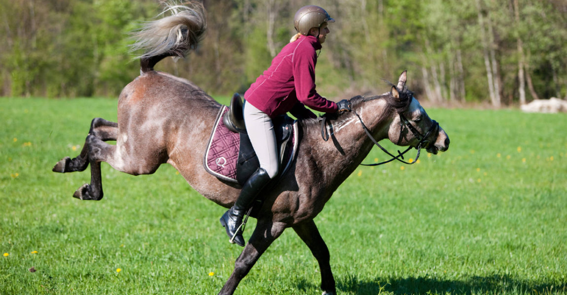 Pferd Geht Mit Reiter Durch