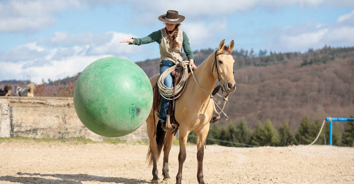 Mein Pferd Magazin - Seven Games Reportage für das MEin PFerd Magazin über die seven Games nach Par Parelli am 18.03.2019. Foto: DANIEL ELKE 