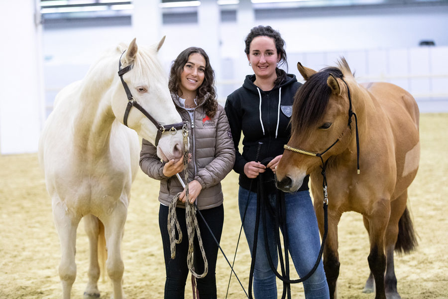 Mein Pferd - Seminar Equitana Equitana Seminar mit Kenzie Dysli am 14.03.2019 in der Messe Essen. Foto: DANIEL ELKE 