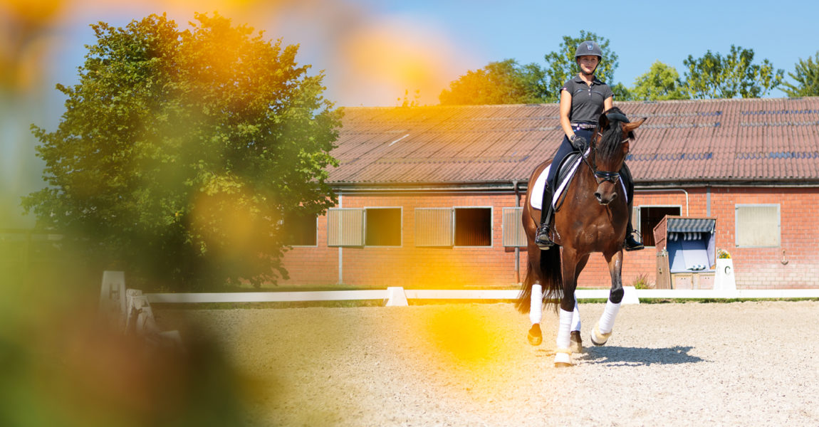 Mein Pferd Magazin - Maike Mende Homestory mit Maike Mende am 13.07.2018 in Altenberge für das Mein Pferd Magazin. Foto: DANIEL ELKE 