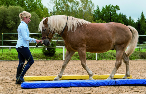 cWolfgang_Schaefer_WL-Media_DSC02184 