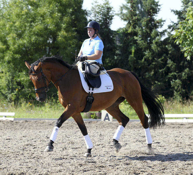 cimago rau_06305422h Bildnummer: 06305422 Datum: 07.08.2010 Copyright: imago/Rau Frankenthal Hofgut Petersau 07.08.2010 Training/Kaderlehrgang des deutschen Para-Equestrian-Teams (Behindertenreiten) f¸r die Weltreiterspiele - Dr. Angelika Trabert (GER) und Ariva-Avanti; Behindertensport Pferdesport Reiten Dressur Dressurreiten Trainingslehrgang o0 behindert Freisteller Einzelbild vdig xub 2010 quadrat Image number 06305422 date 07 08 2010 Copyright imago Tough Frankenthal Hofgut 07 08 2010 Training the German Para Equestrian Teams Disabled riding for The World Equestrian Games Dr Angelika Trabert ger and Avanti Disabled Sports Equestrian sports riding Dressage Dressage Training course o0 disabled cut out Single Vdig xub 2010 Square 