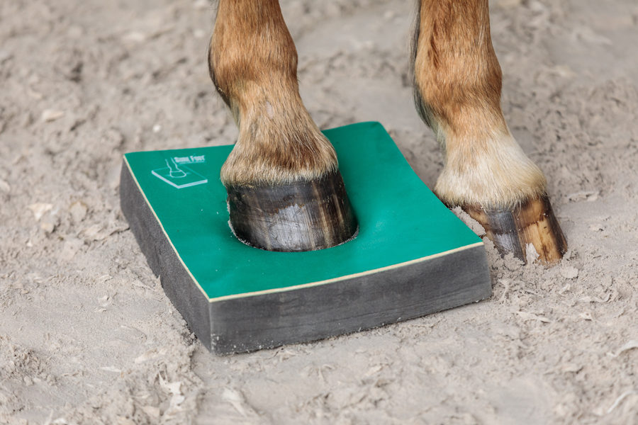 Mein Pferd Shooting für das Mein Pferd Magazin am 08.05.2019 in Kürten. Foto: DANIEL ELKE 