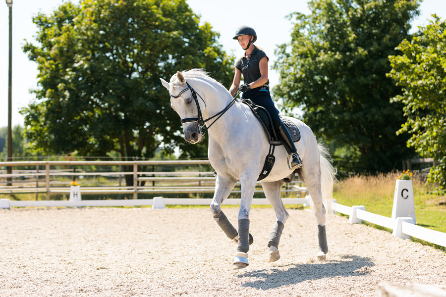 Mein Pferd Magazin - Maike Mende Homestory mit Maike Mende am 13.07.2018 in Altenberge für das Mein Pferd Magazin. Foto: DANIEL ELKE 