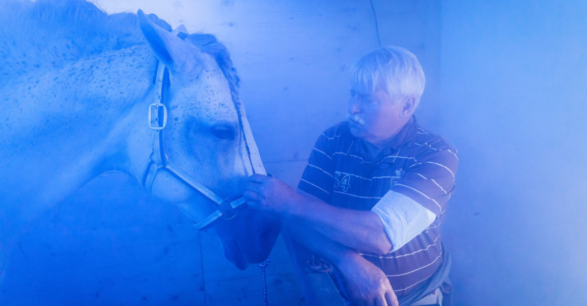 Mein Pferd - Equiness mit Günther Fröhlich Shooting im Equiness Zentrum von Günther Fröhlich für das Mein Pferd Magazin am 11.07.2019 in Wegberg Foto: DANIEL ELKE 