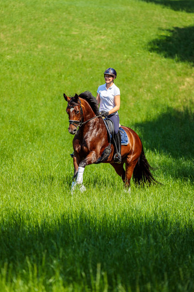 Mein Pferd Shooting für das Mein Pferd Magazin am 18.07.2019 in Gevelsberg Foto: DANIEL ELKE 