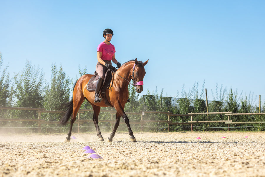 Mein Pferd Shooting für das Mein Pferd Magazin am 18.07.2019 in Neuwied Foto: DANIEL ELKE 