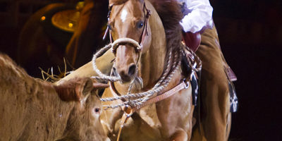 equitana311251 