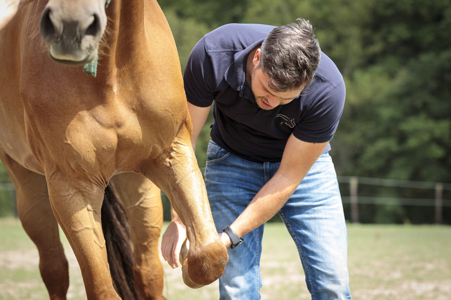 Mein Pferd Shooting für das Mein Pferd Magazin am 08.08.2019 in Foto: DANIEL ELKE 