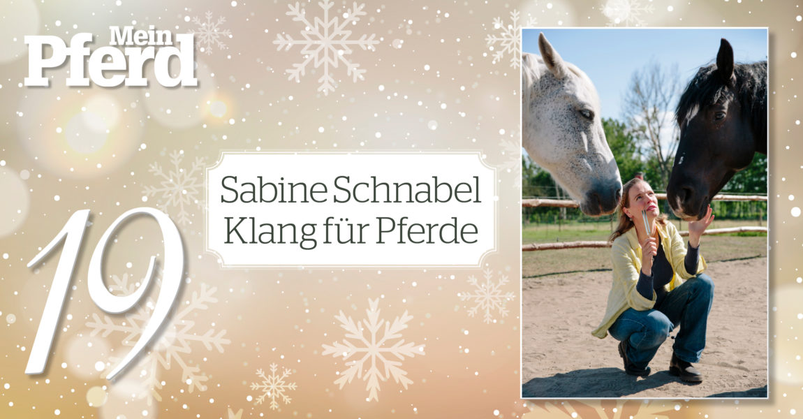 MP_Adventskalender_2019_19_Schnabel_KfP 