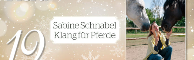 MP_Adventskalender_2019_19_Schnabel_KfP 