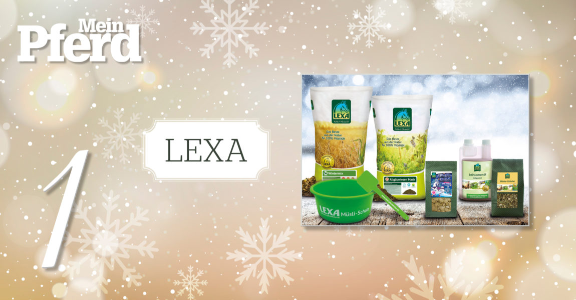 MP_Adventskalender_2019_1_LEXA 