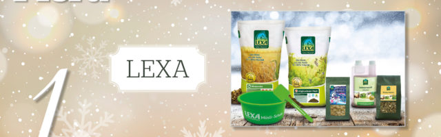 MP_Adventskalender_2019_1_LEXA 