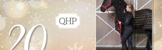 MP_Adventskalender_2019_20_QHP 