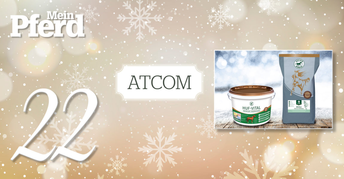 MP_Adventskalender_2019_22_Atcom 