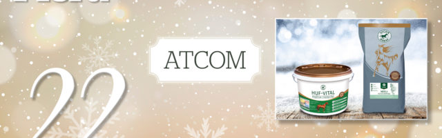 MP_Adventskalender_2019_22_Atcom 