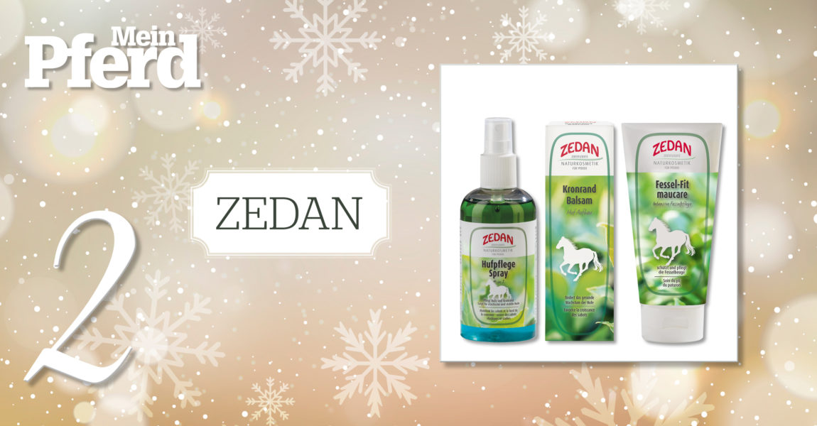 MP_Adventskalender_2019_2_Zedan 