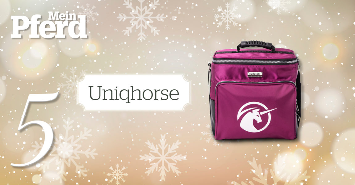 MP_Adventskalender_2019_5_Uniqhorse 