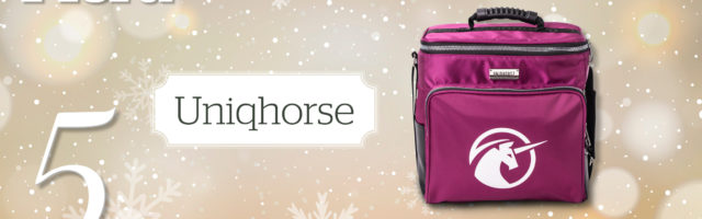 MP_Adventskalender_2019_5_Uniqhorse 