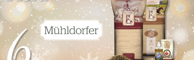 MP_Adventskalender_2019_6_Muehldorfer 