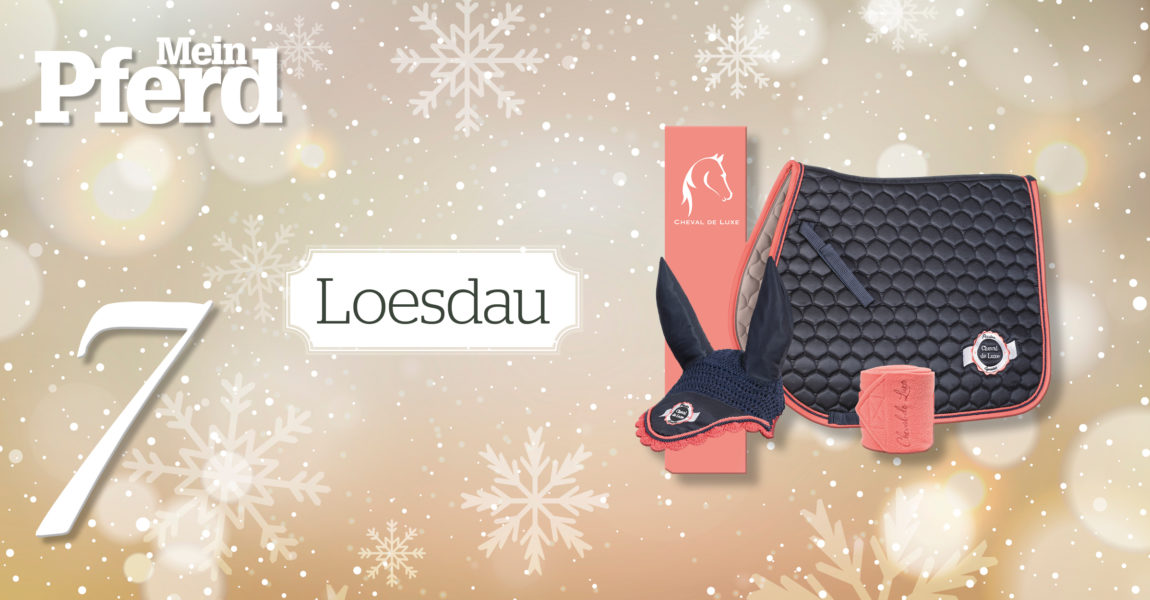 MP_Adventskalender_2019_7_Loesdau 