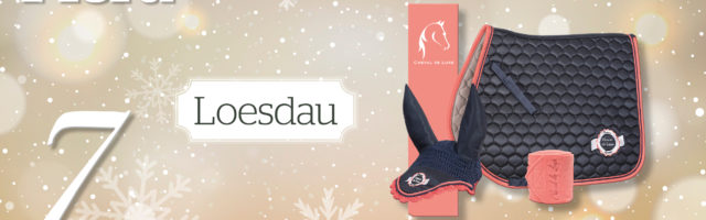 MP_Adventskalender_2019_7_Loesdau 