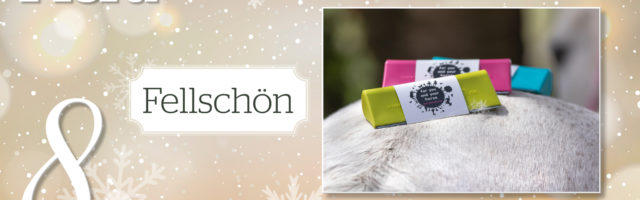 MP_Adventskalender_2019_8_Fellschoen 