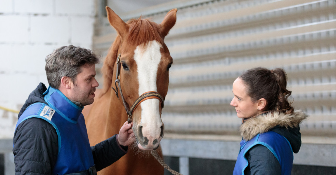 Mein Pferd Shooting für das Mein Pferd Magazin am 12.04.2019 in Gevelsberg Foto: DANIEL ELKE 